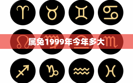 属兔1999年今年多大，1999属兔的人今年多大