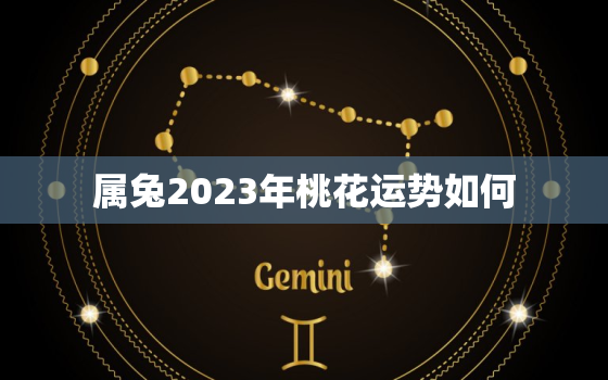 属兔2023年桃花运势如何，属兔在2023年运势怎么样