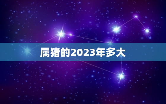 属猪的2023年多大，属猪的2023年多大虚岁