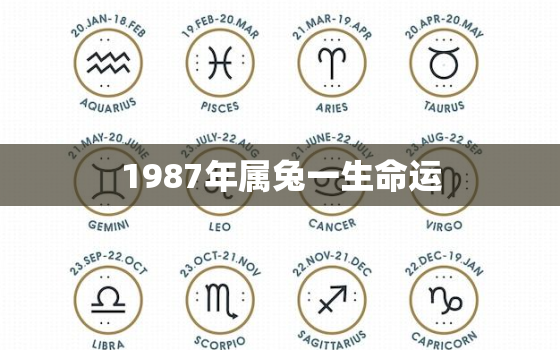 1987年属兔一生命运，1987年属兔子的一生命运