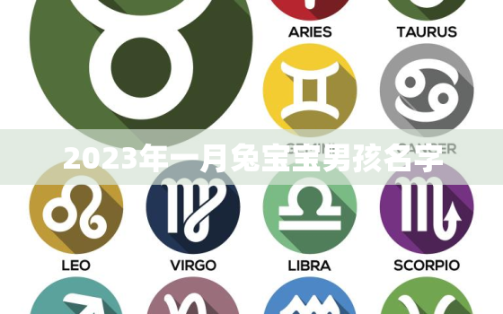 2023年一月兔宝宝男孩名字，2023年兔宝宝最佳出生月份