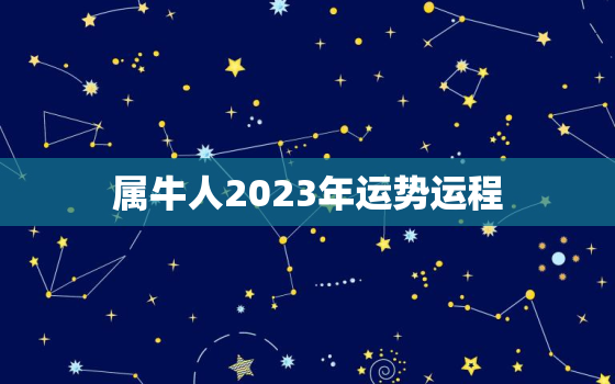 属牛人2023年运势运程，属牛人2024年运势运程