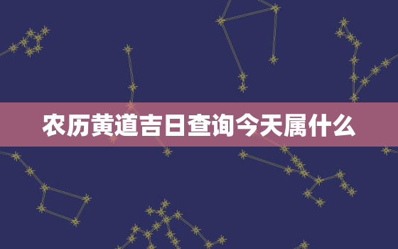 农历黄道吉日查询今天属什么，农历黄道吉日查询今天属什么生肖