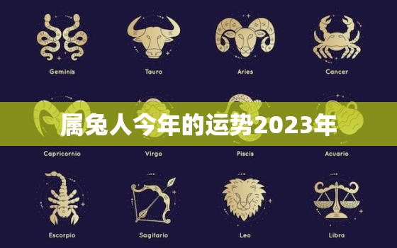 属兔人今年的运势2023年，属兔人今年的运势2023年运程