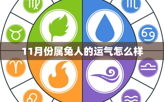 11月份属兔人的运气怎么样，11月份属兔人的运气怎么样啊