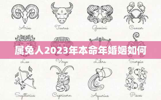 属兔人2023年本命年婚姻如何，2023年属兔本命年结婚