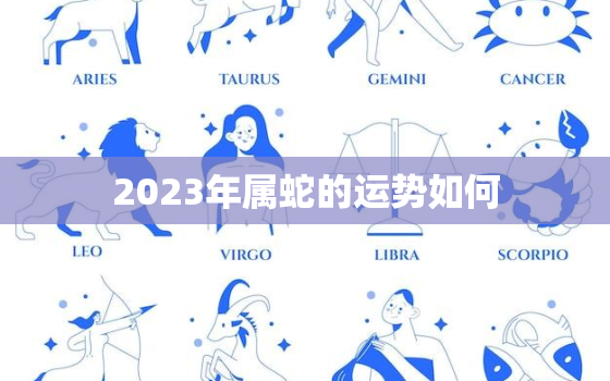 2023年属蛇的运势如何，2023年属蛇人的运气