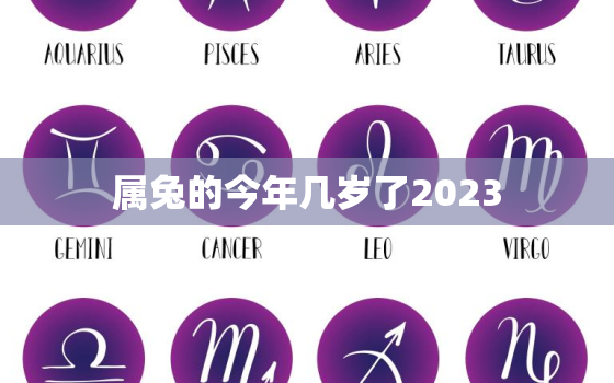 属兔的今年几岁了2023，属兔的今年几岁了二十几了