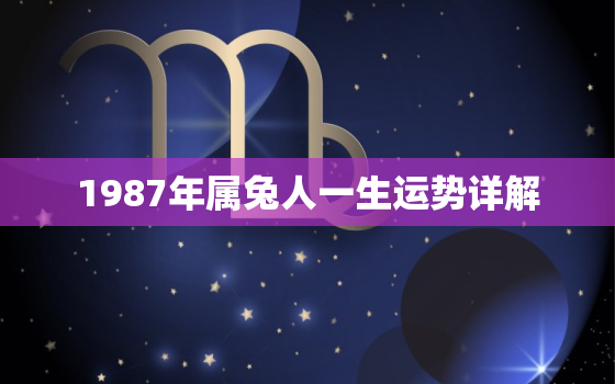 1987年属兔人一生运势详解，1987年属兔一生的运势