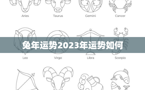 兔年运势2023年运势如何，兔年2023年的运势怎么样