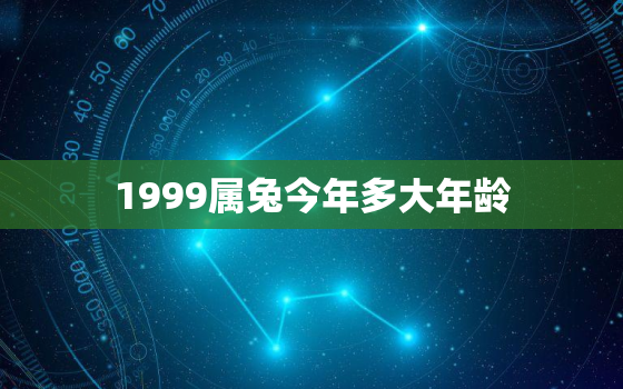 1999属兔今年多大年龄，1999属兔的今年多少岁