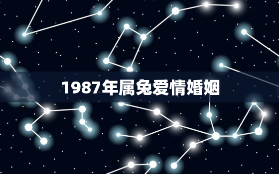 1987年属兔爱情婚姻，1987年属兔感情婚姻