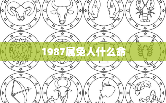 1987属兔人什么命，1987属兔什么命运如何