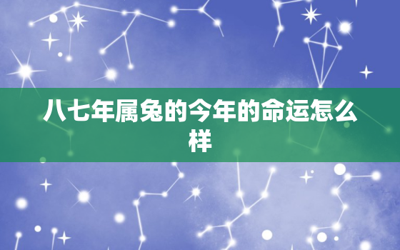 八七年属兔的今年的命运怎么样，八七年属兔的今年的命运怎么样呀