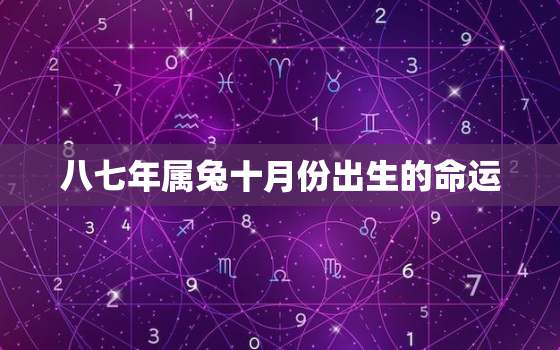 八七年属兔十月份出生的命运，八七年属兔一生的命运