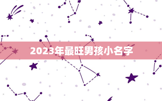 2023年最旺男孩小名字，2023年最旺男孩名字小名