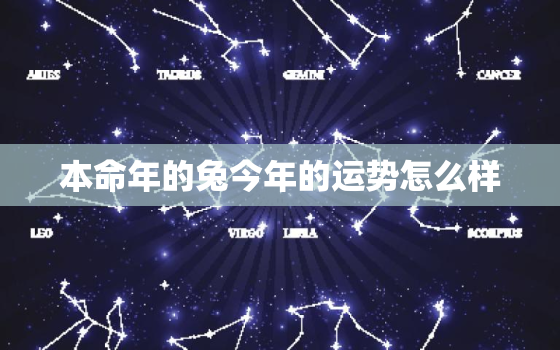 本命年的兔今年的运势怎么样，属兔本命年2021年的运气