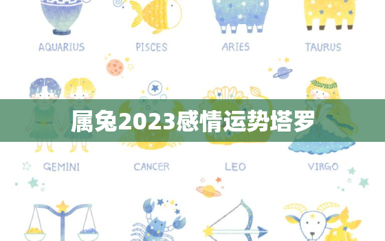 属兔2023感情运势塔罗，属兔2023年运势