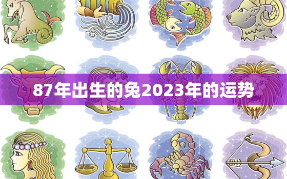 87年出生的兔2023年的运势，87年的2023年运势如何