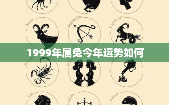 1999年属兔今年运势如何，1999年属兔今年运气