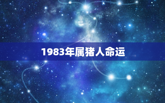 1983年属猪人命运，83年属猪39岁有一灾