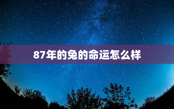 87年的兔的命运怎么样，87年的兔子什么命运