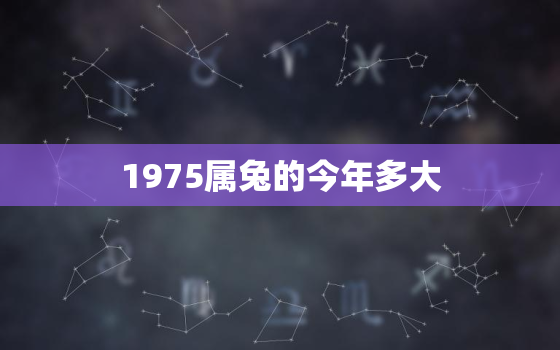 1975属兔的今年多大，1975属兔的今年多大年龄