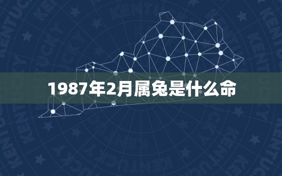 1987年2月属兔是什么命，1987年2月出生的兔是什么命