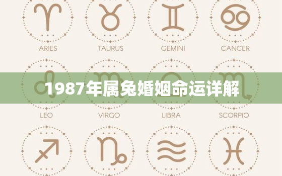 1987年属兔婚姻命运详解，1987年属兔一生的婚姻