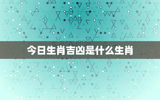 今日生肖吉凶是什么生肖，今日生肖是什么意思