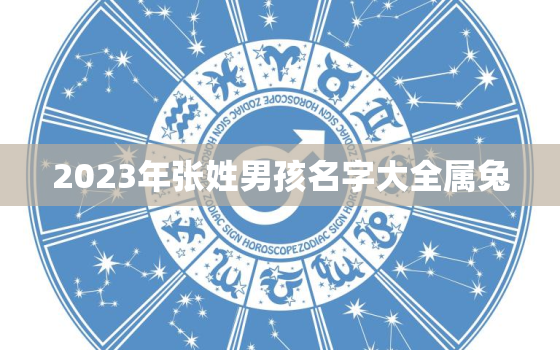 2023年张姓男孩名字大全属兔，2020年男孩张姓最佳取名