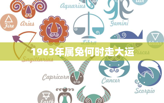 1963年属兔何时走大运，1963年属兔的运气如何