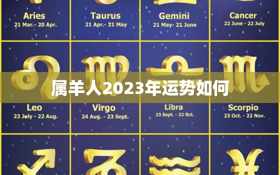 属羊人2023年运势如何，生肖狗今年运势怎么样