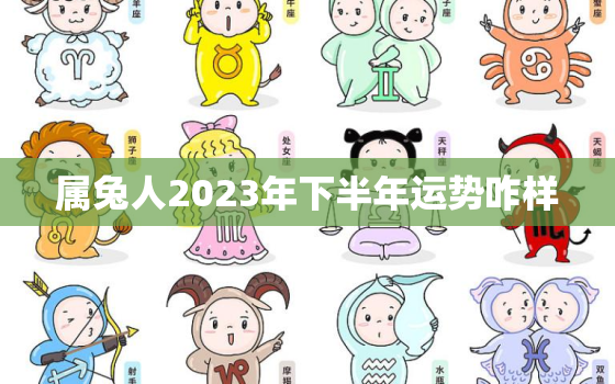 属兔人2023年下半年运势咋样，属兔的2023年运势和财运怎么样