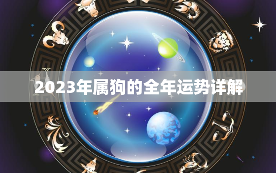 2023年属狗的全年运势详解，2023年生肖狗的全年运势