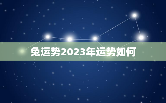 兔运势2023年运势如何，生肖兔2023年运势大全农历网