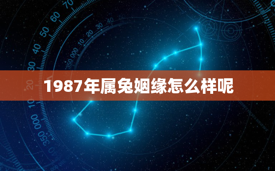 1987年属兔姻缘怎么样呢，1987年属兔的姻缘命运