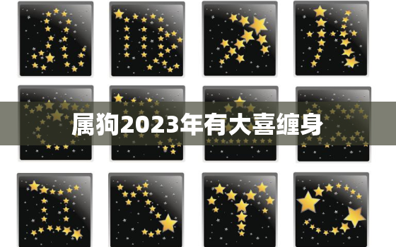 属狗2023年有大喜缠身，1994年属狗2023年有大喜缠身