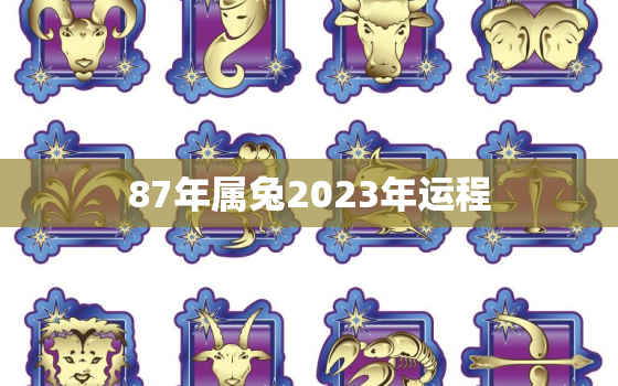 87年属兔2023年运程，87年属兔人2023年运势及财运