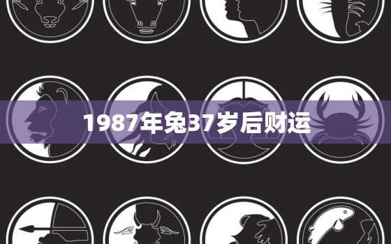 1987年兔37岁后财运，1987年兔33岁后财运2021