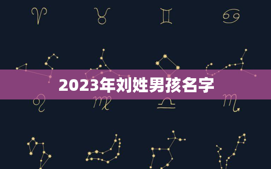 2023年刘姓男孩名字，今年姓刘的男孩名字