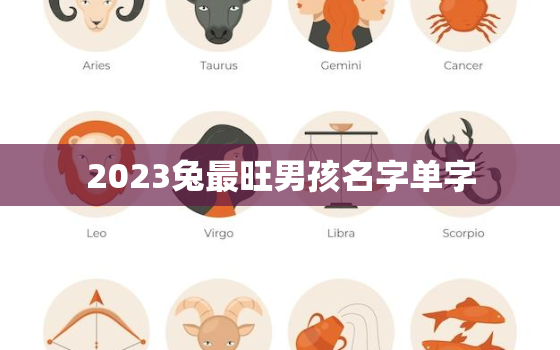 2023兔最旺男孩名字单字，2023年属兔人起名字