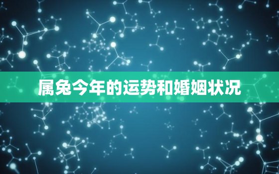 属兔今年的运势和婚姻状况，属兔的人今年运势如何?