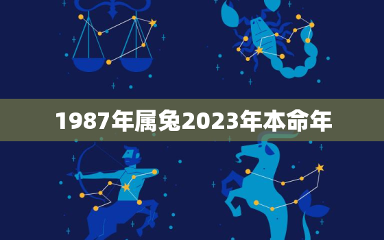 1987年属兔2023年本命年，1987年的兔子在2023年运势如何