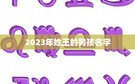 2023年姓王的男孩名字，2021年王姓
宝名字