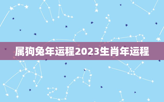 属狗兔年运程2023生肖年运程，属狗人兔年运势