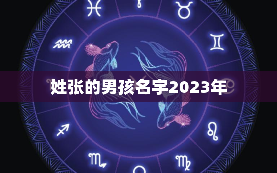 姓张的男孩名字2023年，姓张的男孩名字2023年属兔