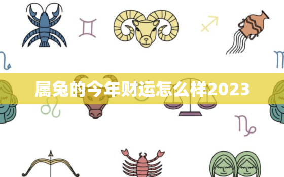 属兔的今年财运怎么样2023，属兔的今年财运怎么样2022六三年兔兔