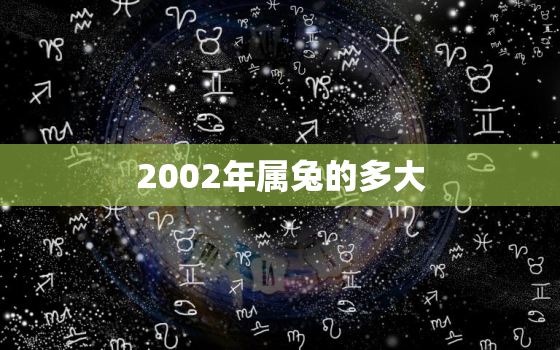 2002年属兔的多大，2002年的人今年多大