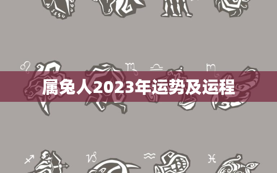 属兔人2023年运势及运程，属兔人2023年运势及运程详解